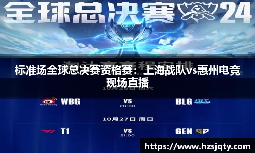 DG视讯